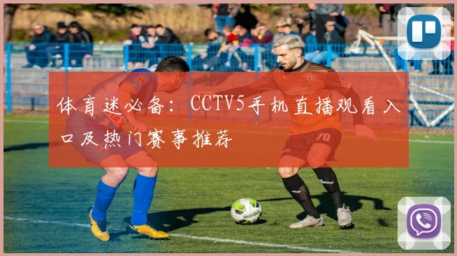 体育迷必备：CCTV5手机直播观看入口及热门赛事推荐