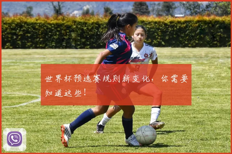 世界杯预选赛规则新变化，你需要知道这些！