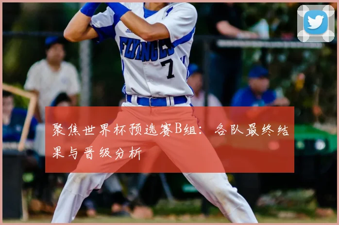 聚焦世界杯预选赛B组:各队最终结果与晋级分析