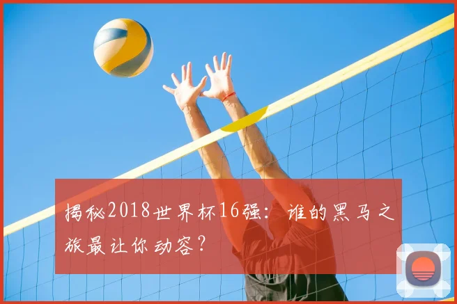 揭秘2018世界杯16强：谁的黑马之旅最让你动容？