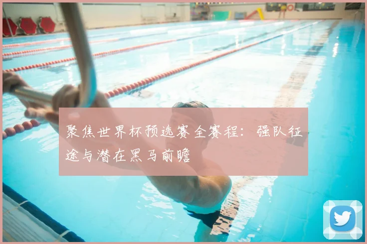 聚焦世界杯预选赛全赛程:强队征途与潜在黑马前瞻