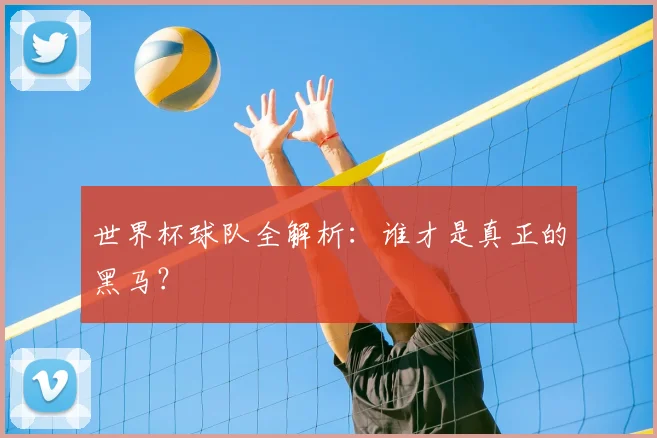 世界杯球队全解析:谁才是真正的黑马?