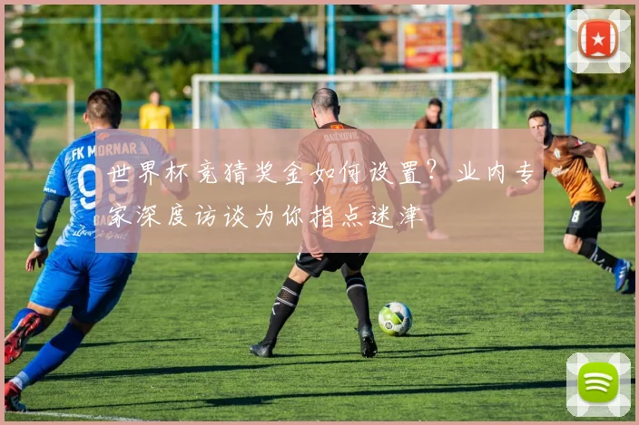 世界杯竞猜奖金如何设置？业内专家深度访谈为你指点迷津