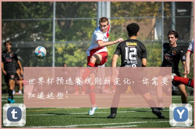 世界杯预选赛规则新变化，你需要知道这些！