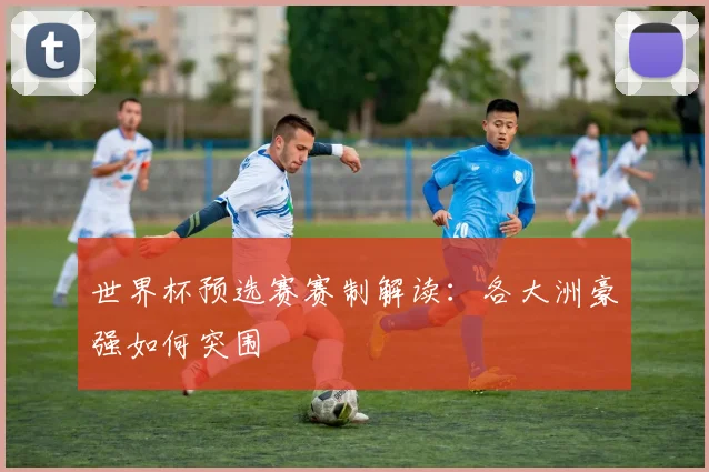世界杯预选赛赛制解读：各大洲豪强如何突围