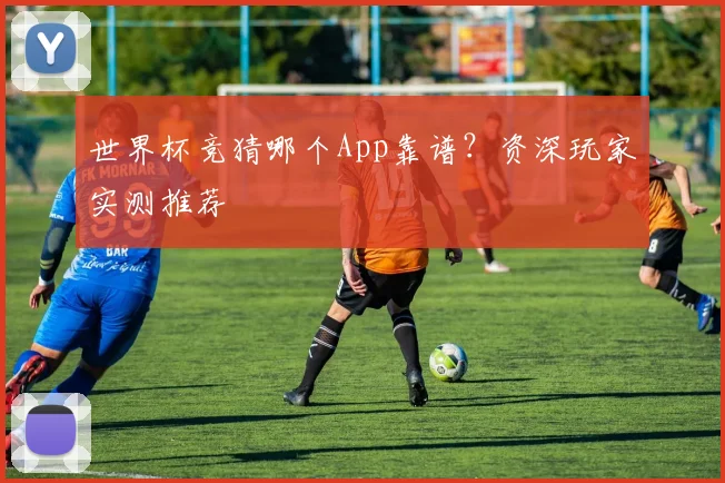 世界杯竞猜哪个App靠谱？资深玩家实测推荐